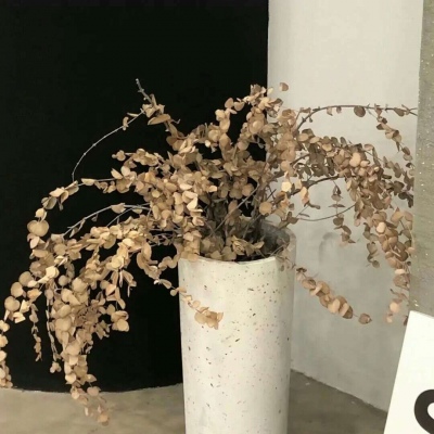 Furry绘画原创灵感福瑞群